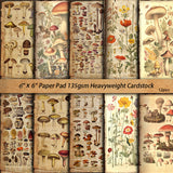 10pcs mushroom Lab paper pack (P26061705)