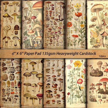 10pcs mushroom Lab paper pack (P26061705)