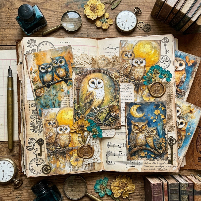 owl paper pack(P26060505)