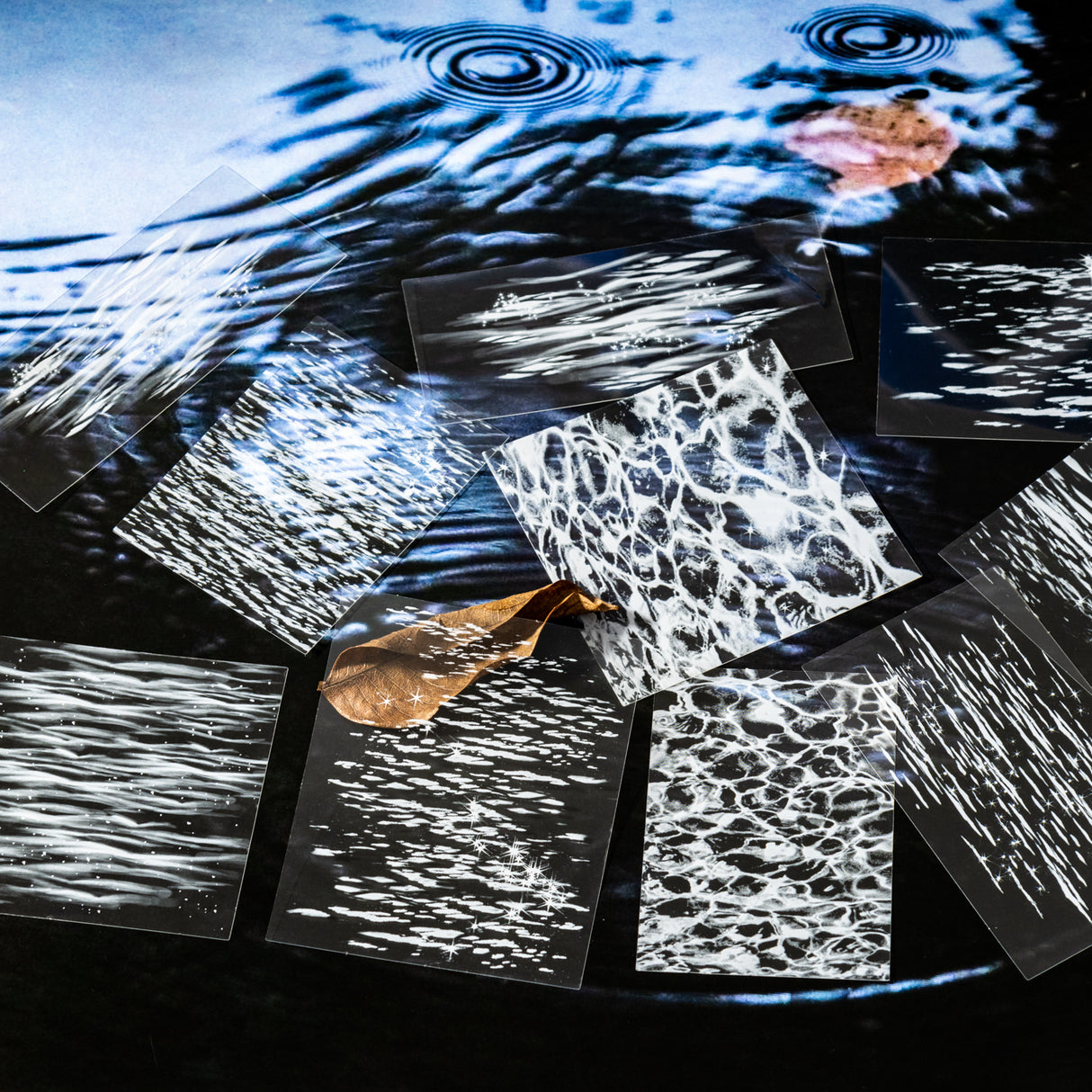 20pcs natural collection PET-sticker pack (S25081801)