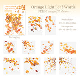 20pcs autumn leaf PET-sticker pack (S25091704)