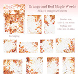 20pcs autumn leaf PET-sticker pack (S25091704)