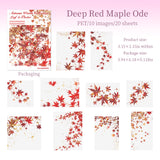 20pcs autumn leaf PET-sticker pack (S25091704)