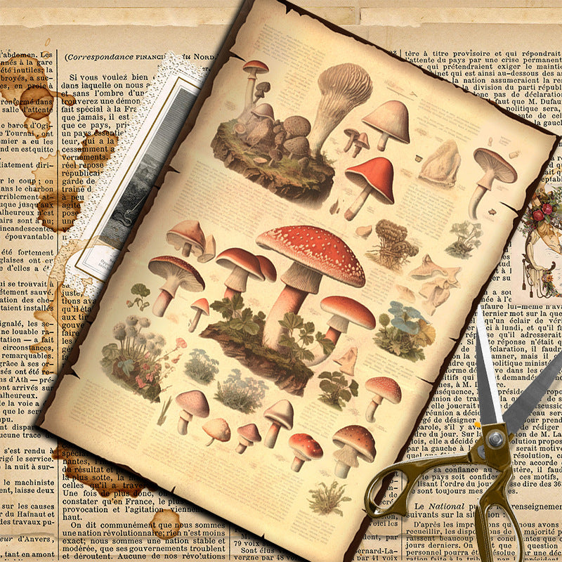 10pcs mushroom Lab paper pack (P26061705)