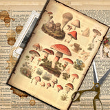 10pcs mushroom Lab paper pack (P26061705)