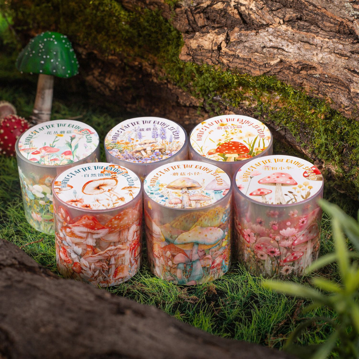 1 roll mushroom PET-tape (T25041003)