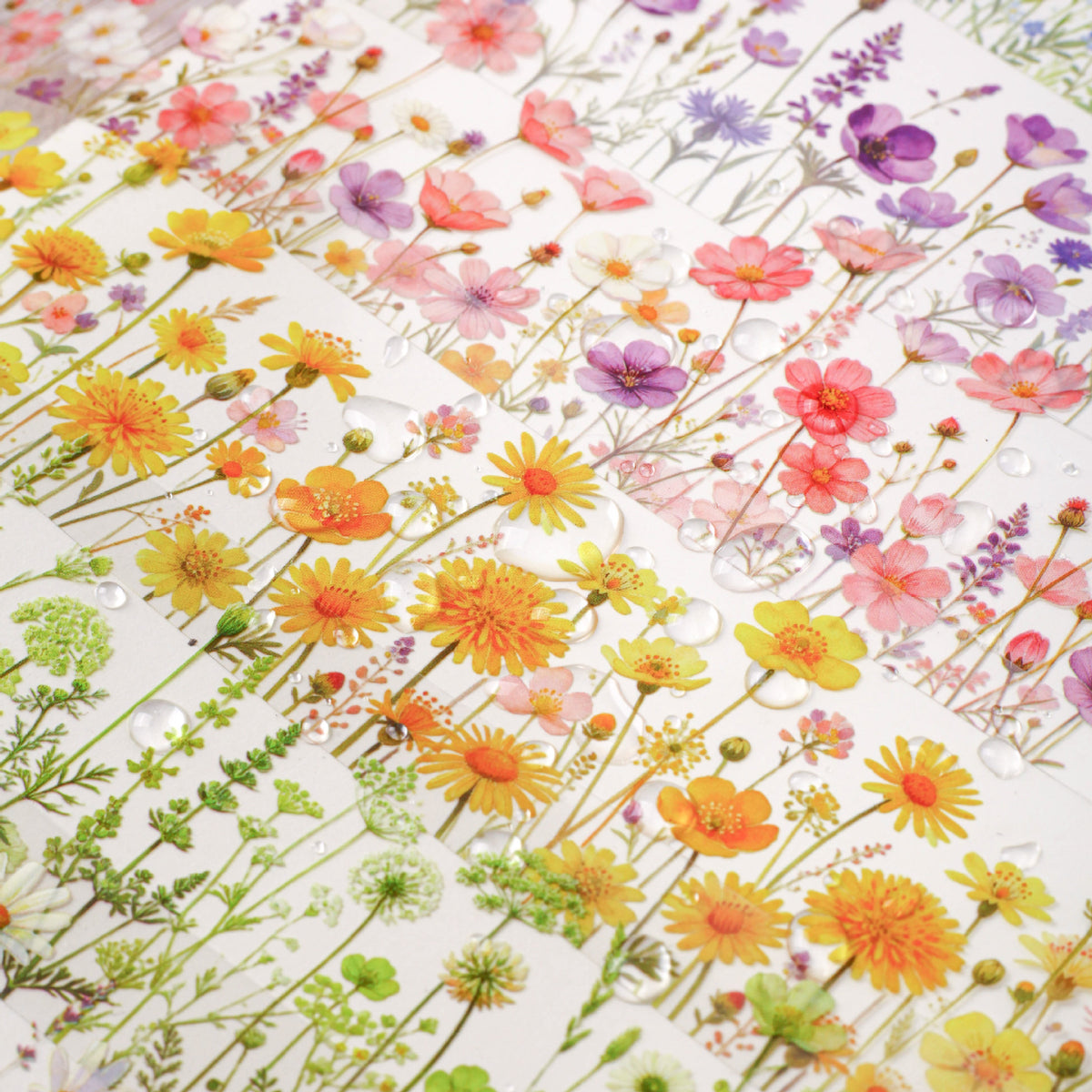 Flower PET-tape 1 roll