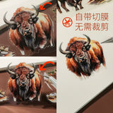 6pcs cowboy pre-cut PET-tape (T25051501)
