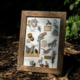 20shetts Encyclopedia whole page washi-sticker book (TZB25102802)