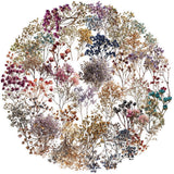 50pcs dry flower sticker pack(S26041508)