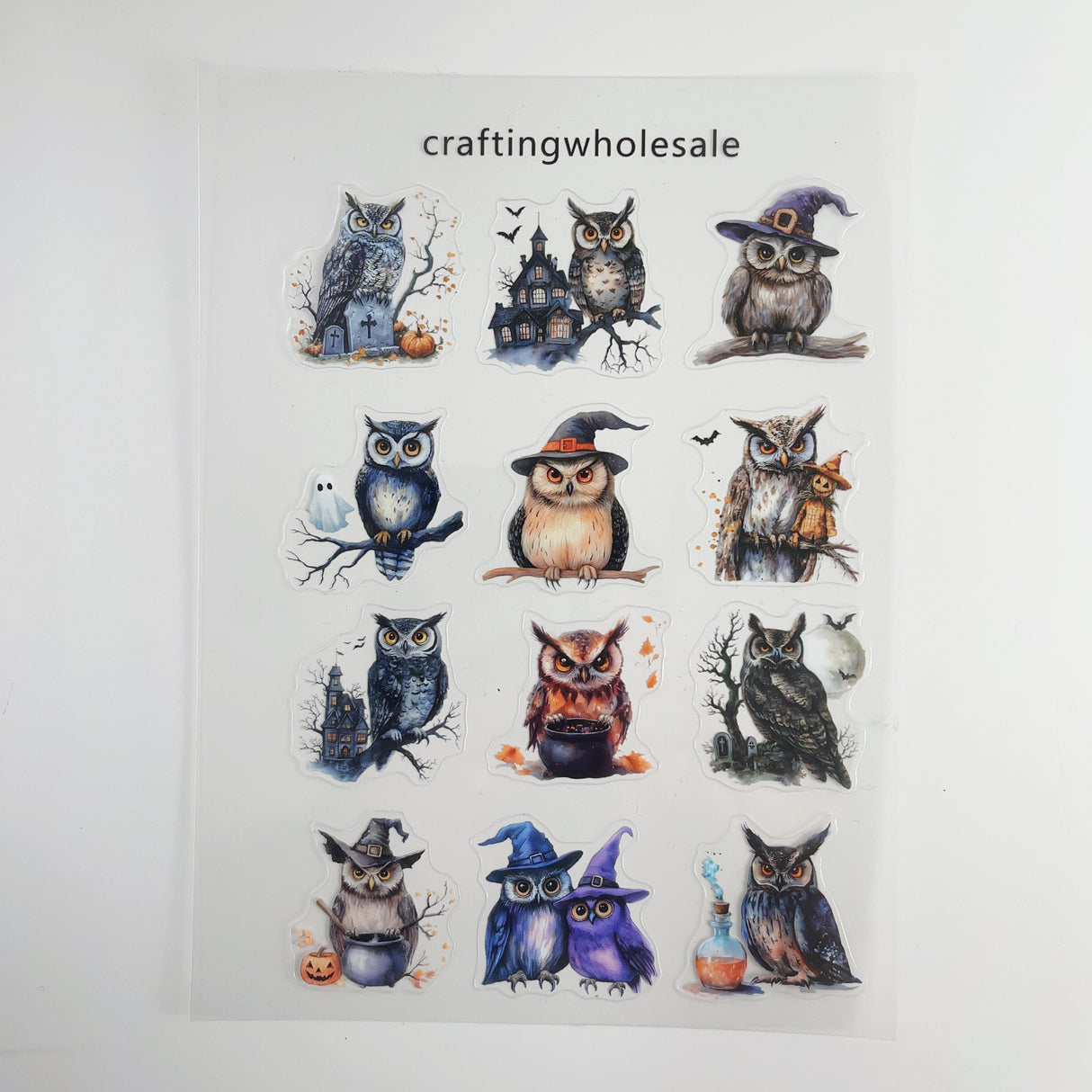 1pc Exclusive owl PET-stickers A5 size (S26011505)