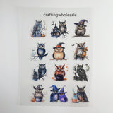 1pc Exclusive owl PET-stickers A5 size (S26011505)