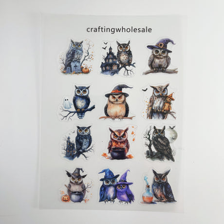 1pc Exclusive owl PET-stickers A5 size (S26011505)