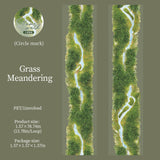 1 roll spring stone PET-tape(T26020305)