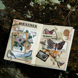 20shetts Encyclopedia whole page washi-sticker book (TZB25102802)