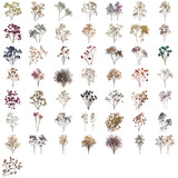 50pcs dry flower sticker pack(S26041508)
