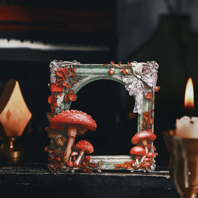 10pcs specimen frame card-sticker pack (S25110601)