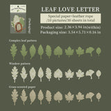 30pcs vintage vellum paper pack (p25102109)