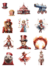 Circus bundle (A25100501)